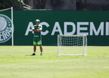 técnico, comandante