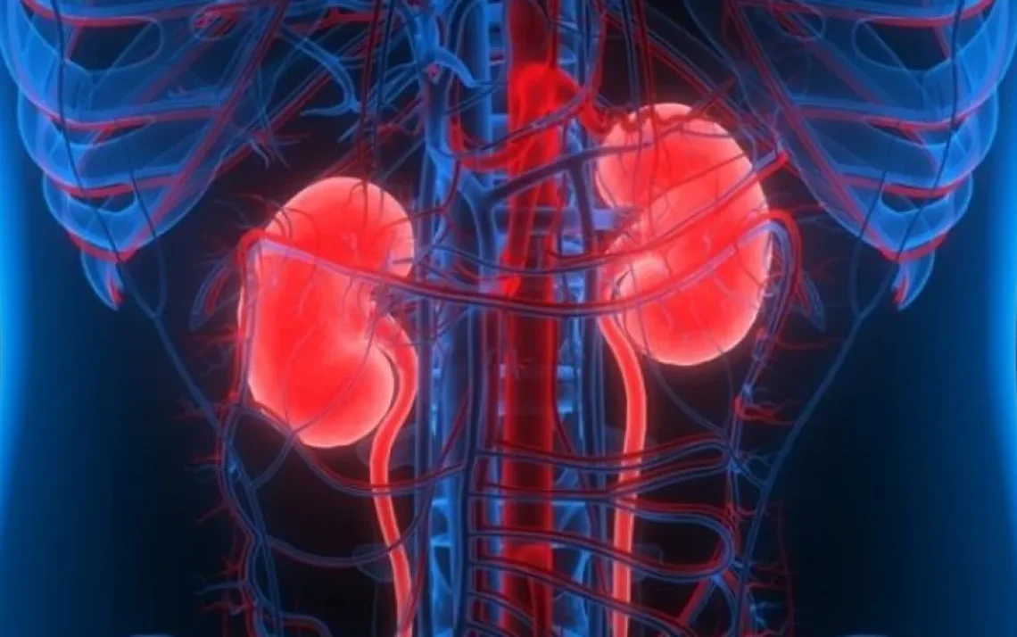 doença dos rins, insuficiência renal, problema renal