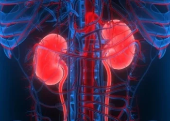 doença dos rins, insuficiência renal, problema renal