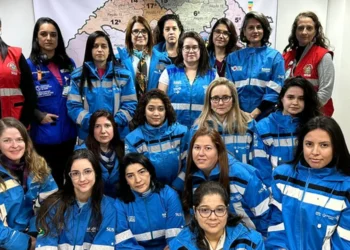 liderança de mulheres, liderança de gênero;