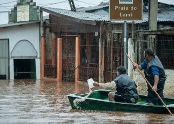 doença infecciosa febril;