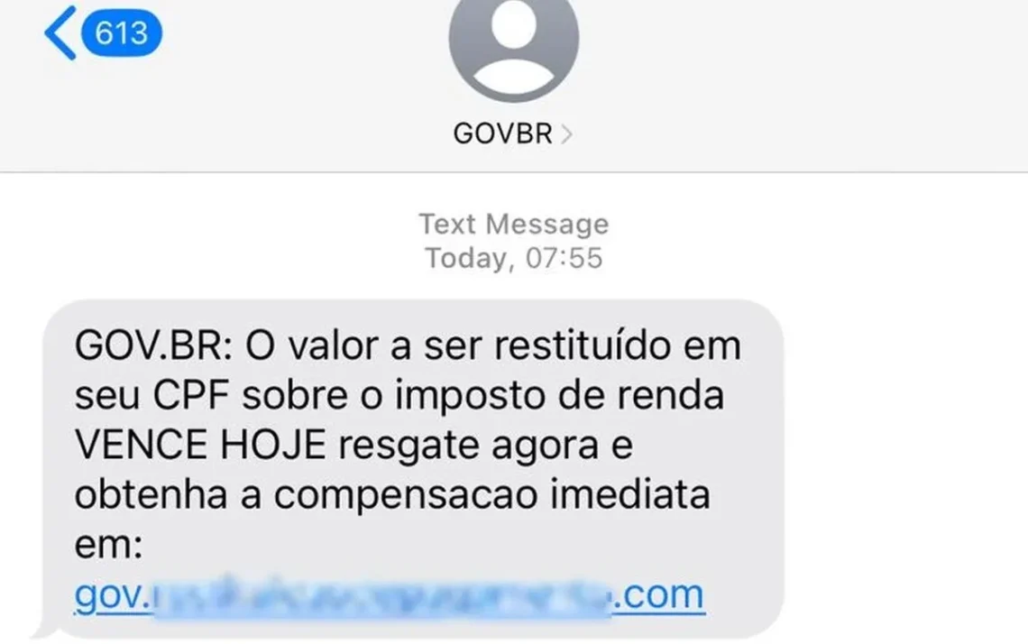 fraude, engano, trapaça;