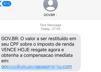 fraude, engano, trapaça;