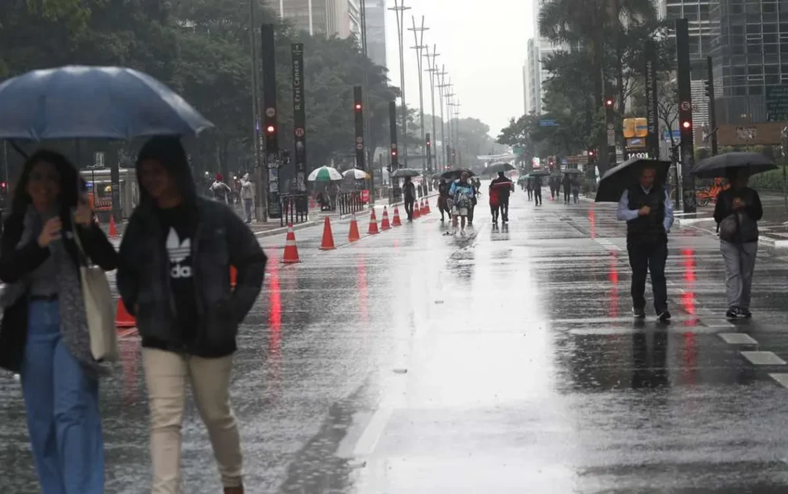 capital, paulista, cidade, de São Paulo;